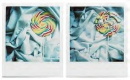 lolipop