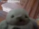 Beautiful