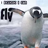 pinguin fly
