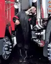 slipknot