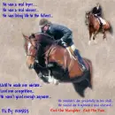 horse slaughter