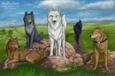 wolfs rain