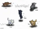 wolfs rain