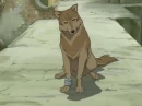 wolfs rain