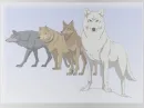 wolfs rain
