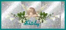 shirley
