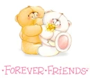 forever friends