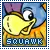 squak neopets
