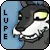 lupe