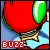 buzz