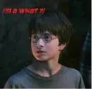 I'm a what?!