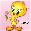tweety