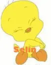 tweety