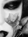 dark 