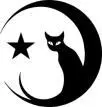 black cat