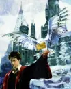 Harry Potter and Hedwig