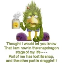 Snap dragon stage of life