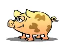 pigy