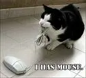 I has a Mouse