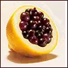 different fruits