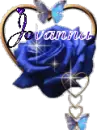Jovanna blue rose