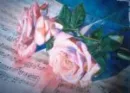 music and roses
