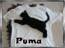 puma