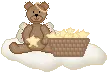 bear stars -ALC