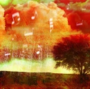 music in the air