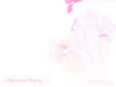 Mew Berry