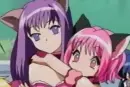 ichigo & zakuro