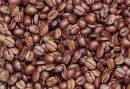 coffee beans