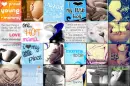 Pregnant Icon Collage