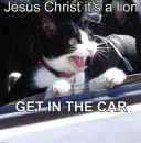 Get in the car!!