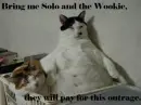 jaba the cat