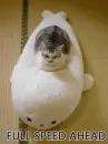 full speed ahead