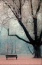 tree bench 