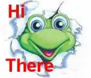 Hi there