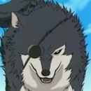 kuromaru