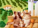 Gatos