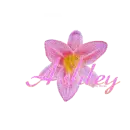 Flower Ashley