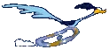 roadrunner