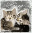 two kitties
