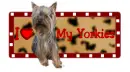 I love my yorkies