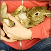 bunny