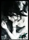 Dark Butterfly