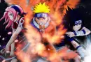 Team 7