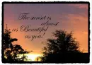 Sunset romance