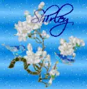 shirley