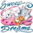 sweet dreams